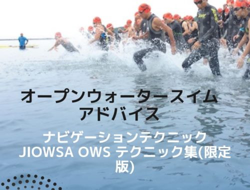 ナビゲーションテクニック/JIOWSA OWS テクニック集(限定版)